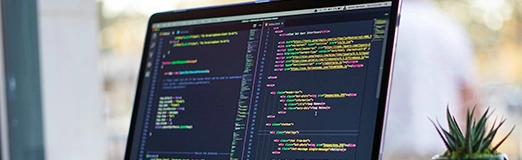 Web Development